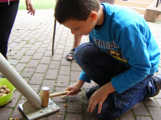 Huszárpróbák